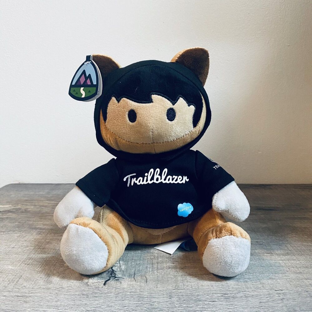 Salesforce Trailblazer Plush Astro Nomical Raccoon Plushie Hoodie Soft Toy 8”